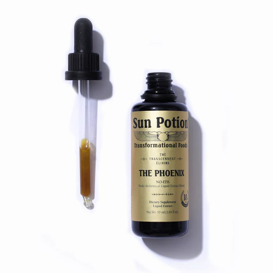 Phoenix Elixir